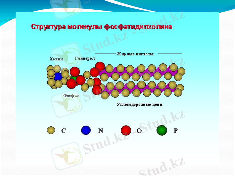 Slide 6