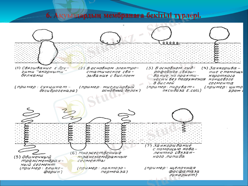 Slide 7