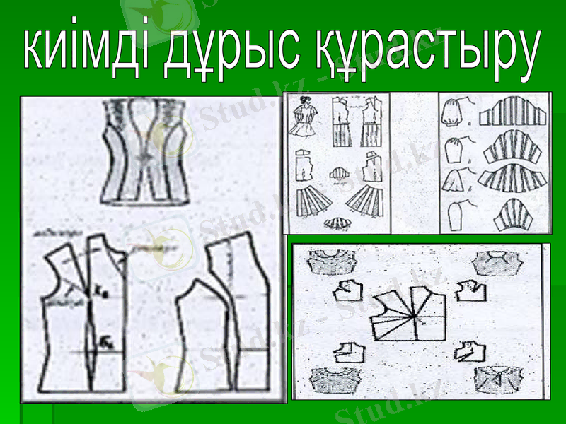 Slide 7