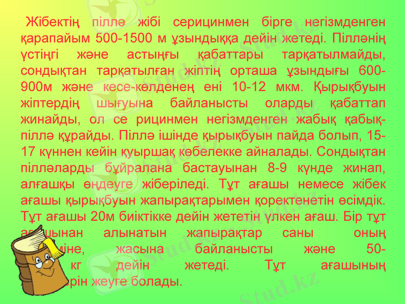 Slide 10
