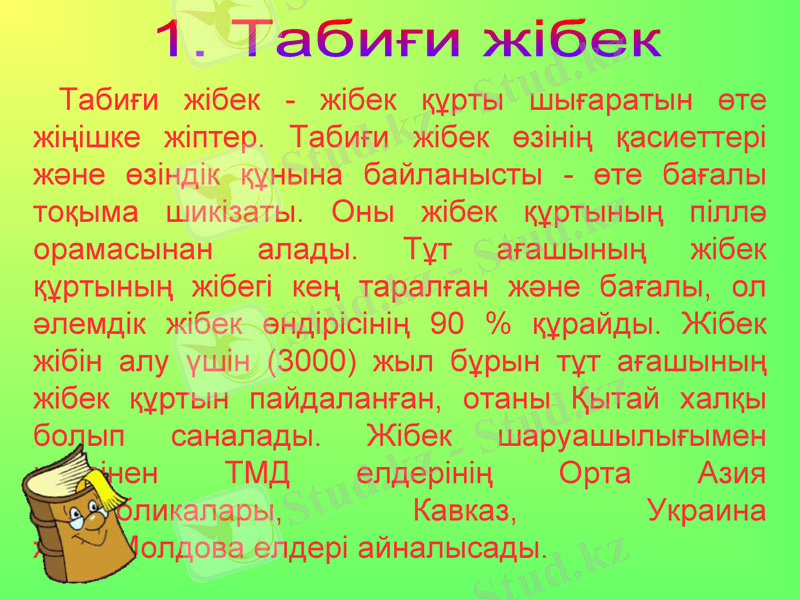 Slide 5