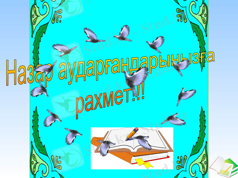 Slide 11