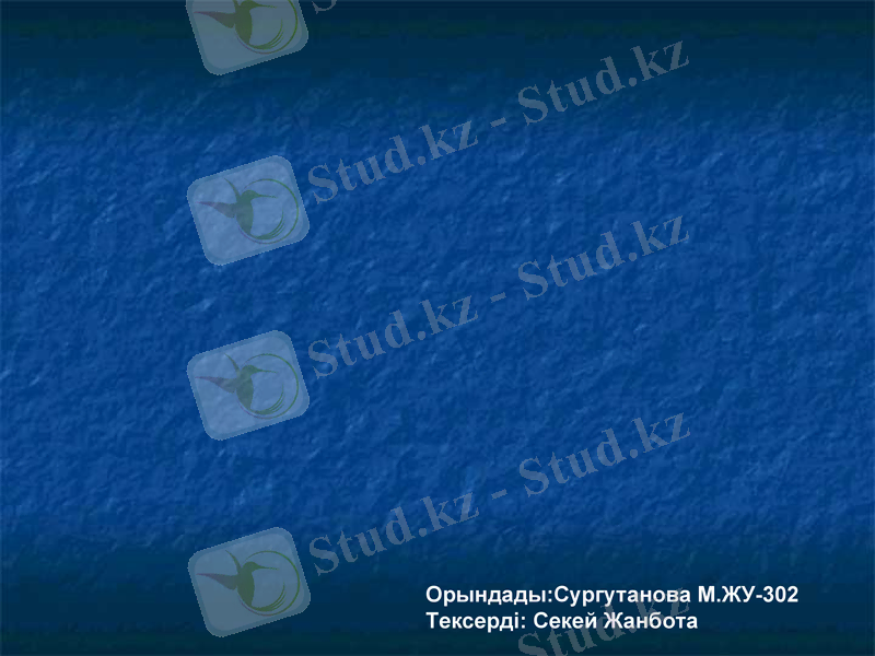 Slide 13