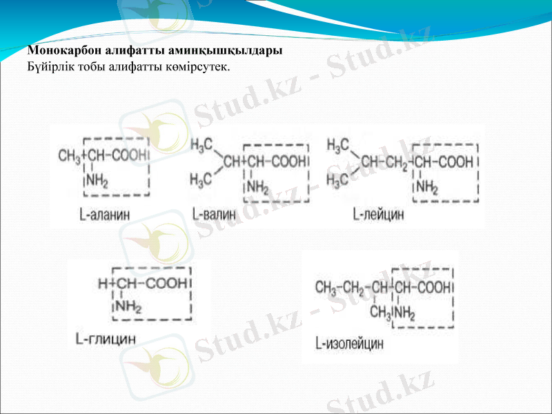 Slide 10
