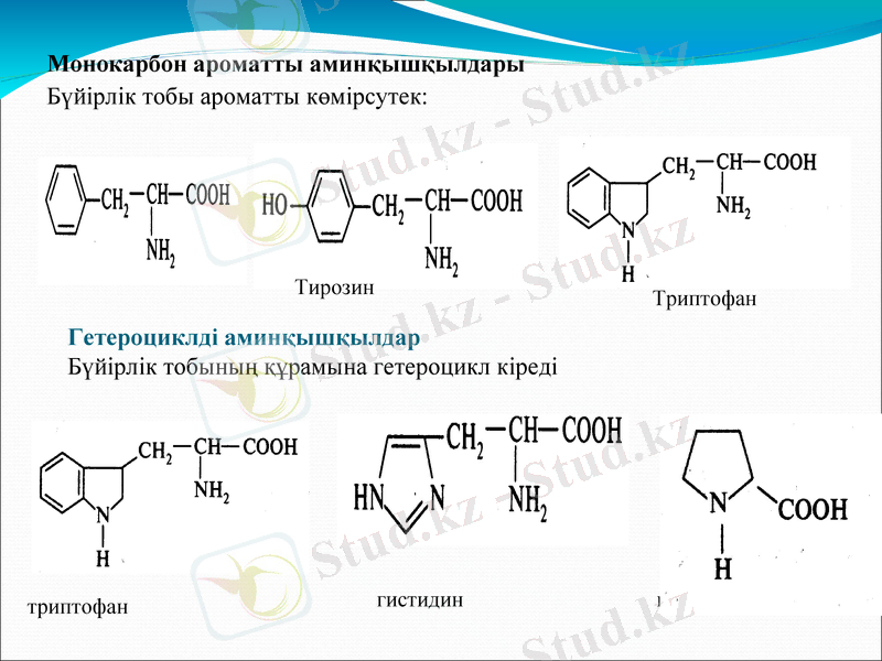 Slide 11