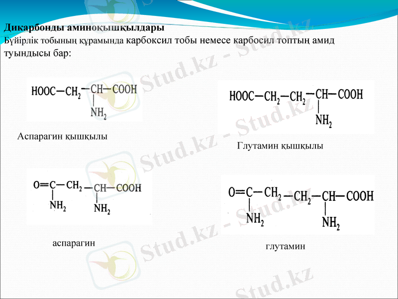 Slide 12
