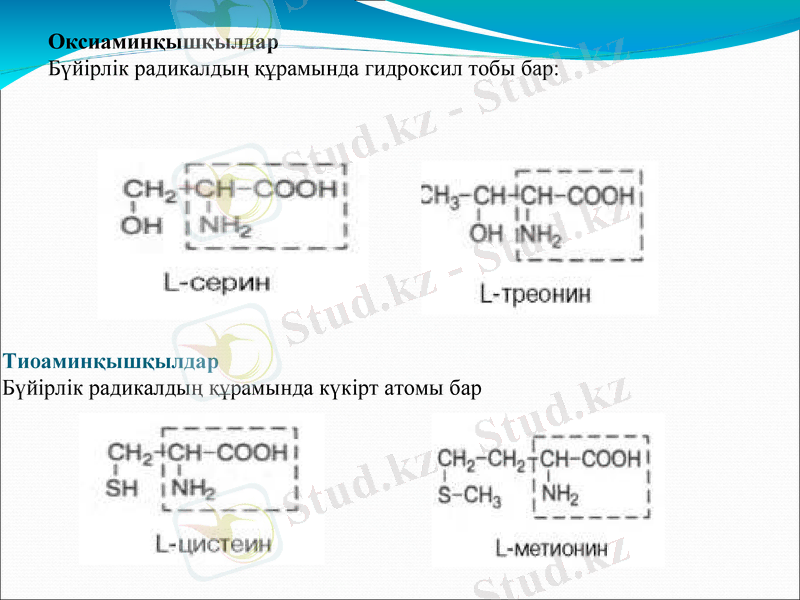 Slide 13