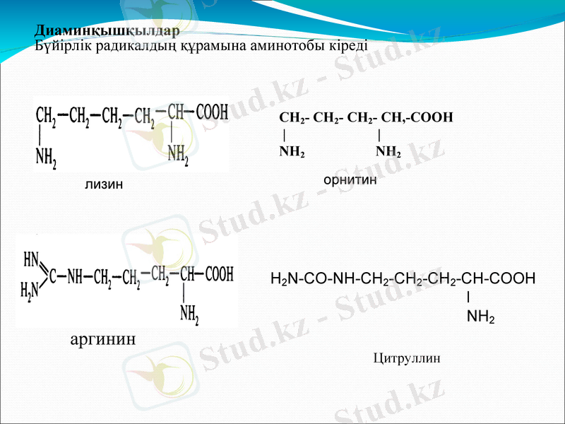 Slide 14