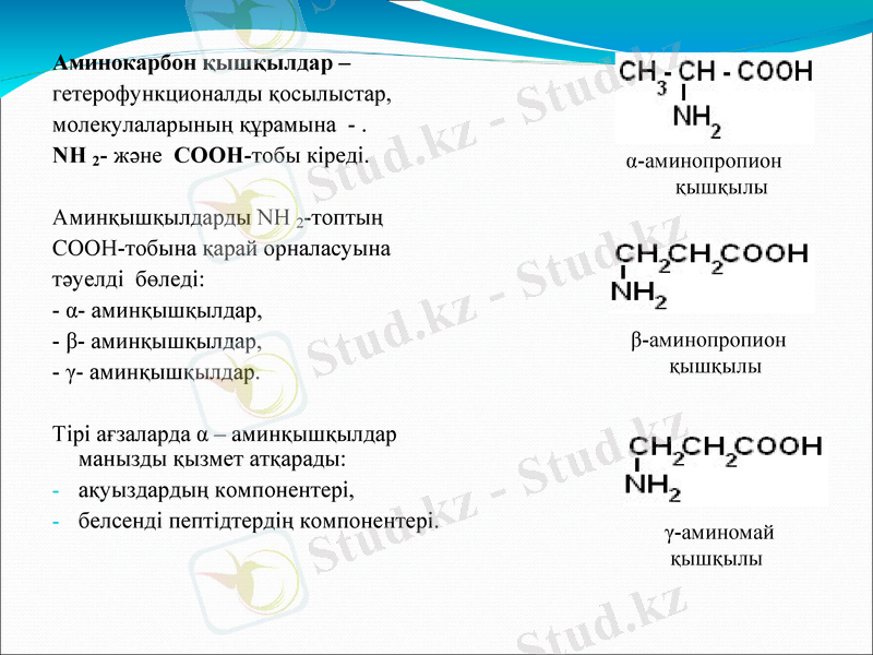 Slide 7