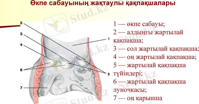 Slide 13