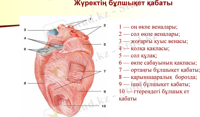 Slide 14