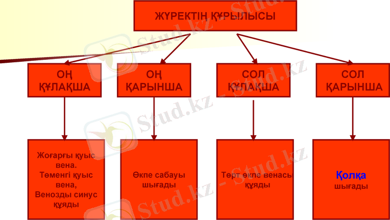 Slide 7