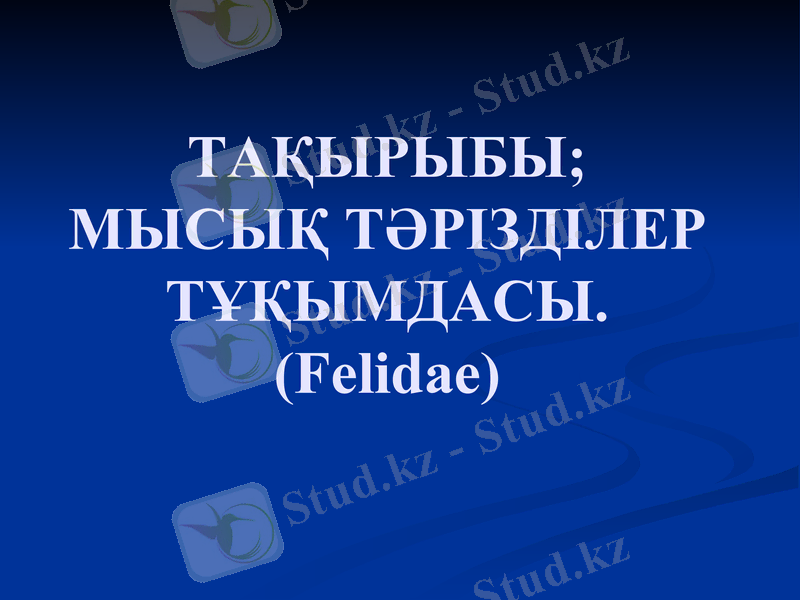 Slide 1