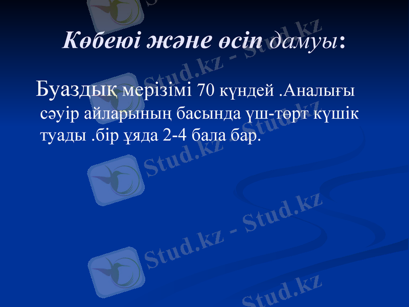 Slide 10