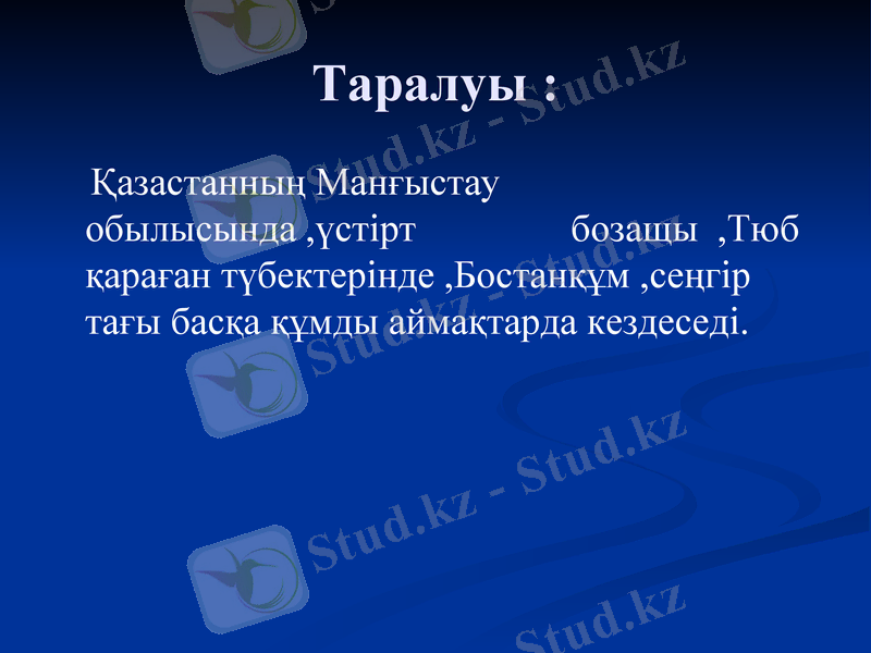 Slide 11