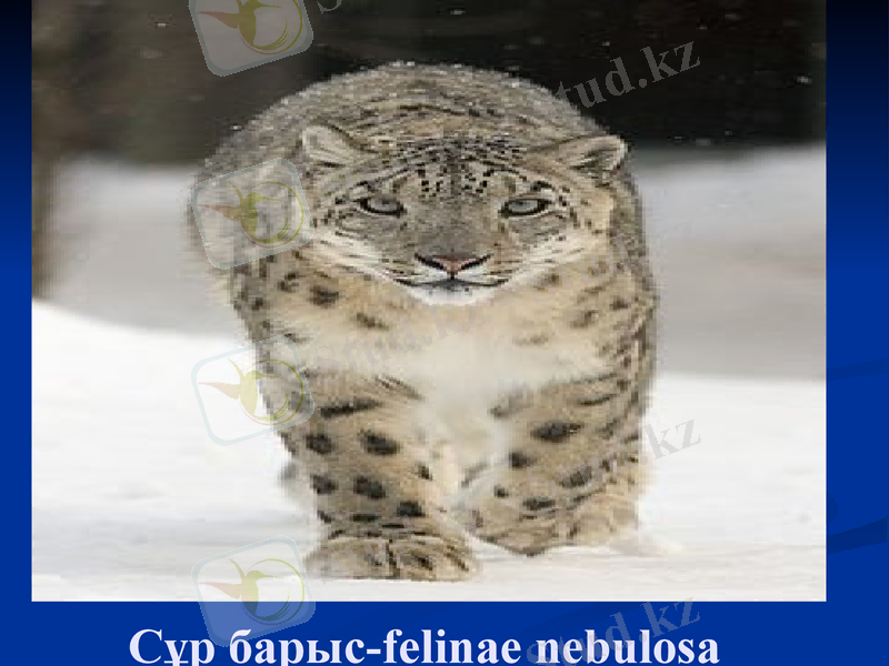 Slide 12