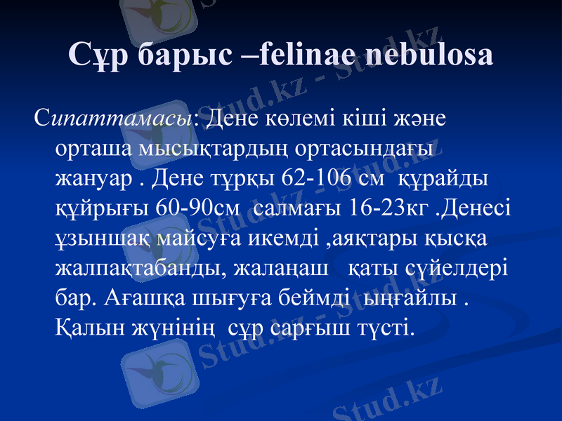Slide 13