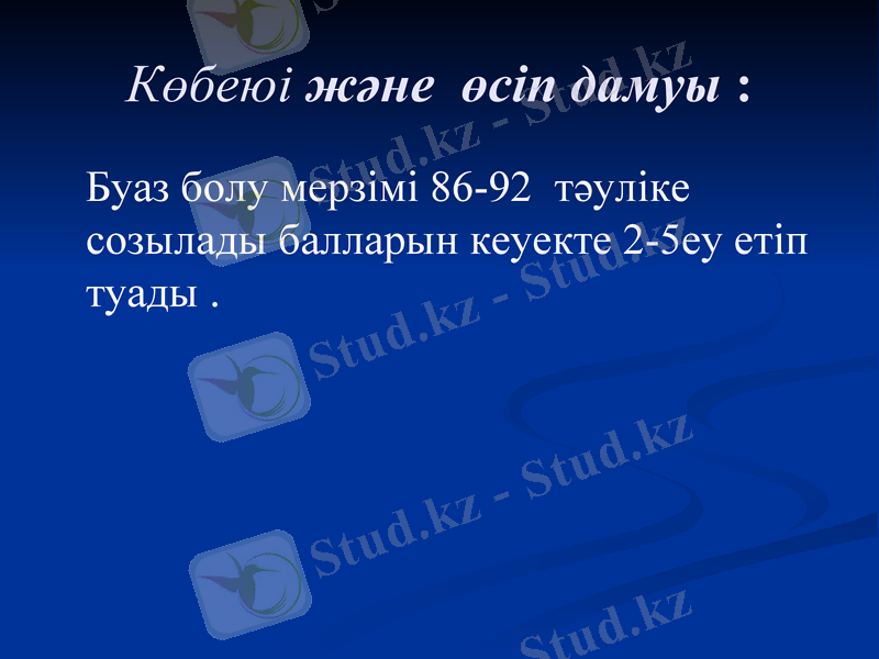 Slide 15
