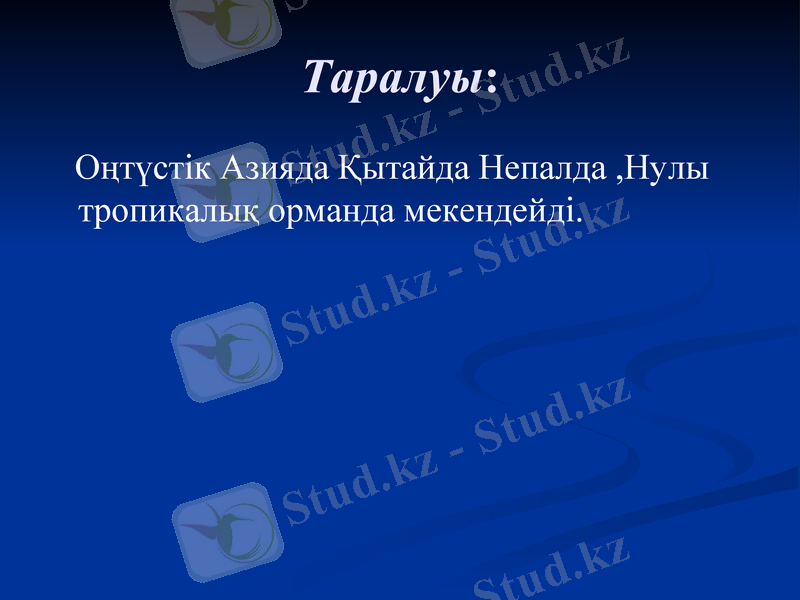 Slide 16