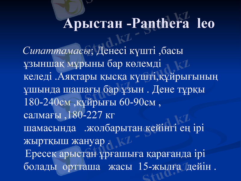 Slide 18