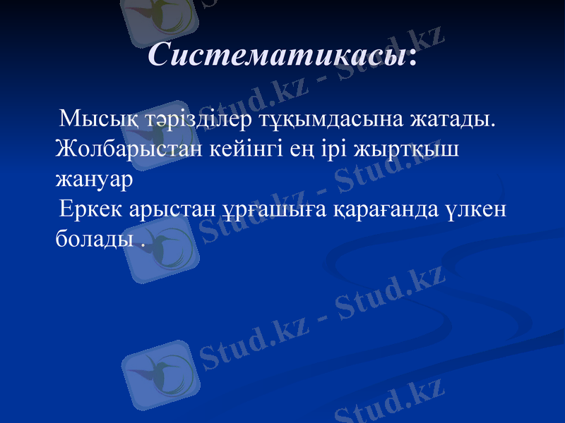 Slide 19