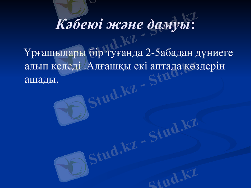 Slide 20