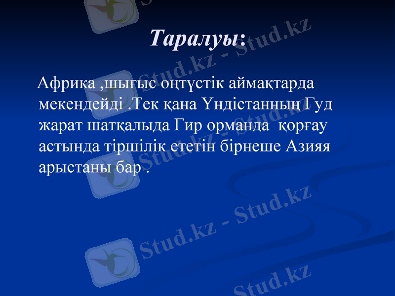 Slide 21