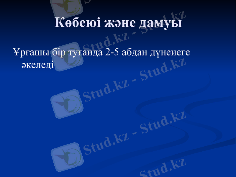 Slide 22