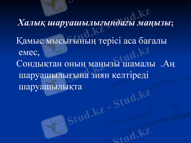 Slide 7