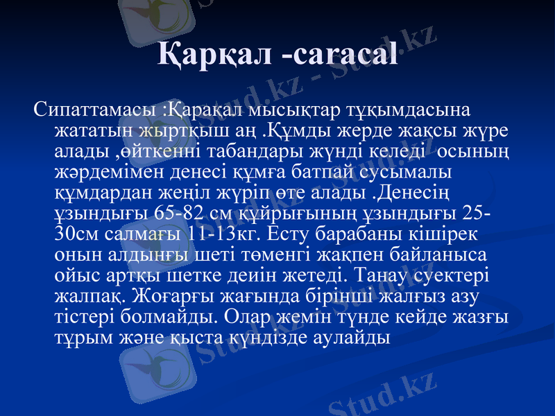 Slide 9