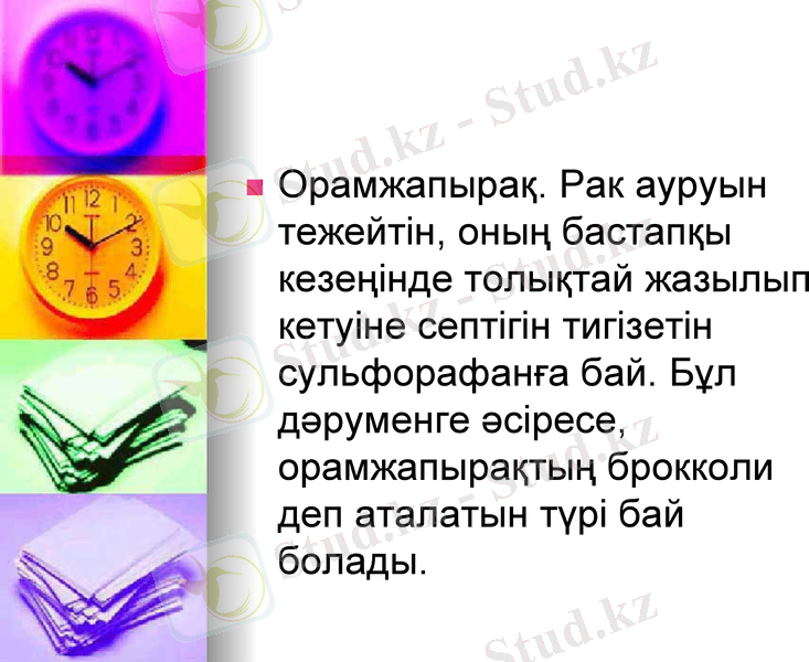Slide 11