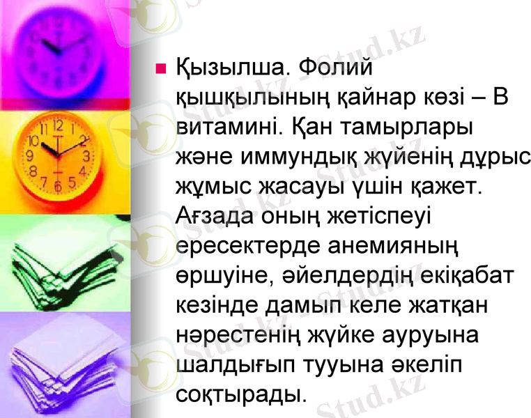 Slide 13