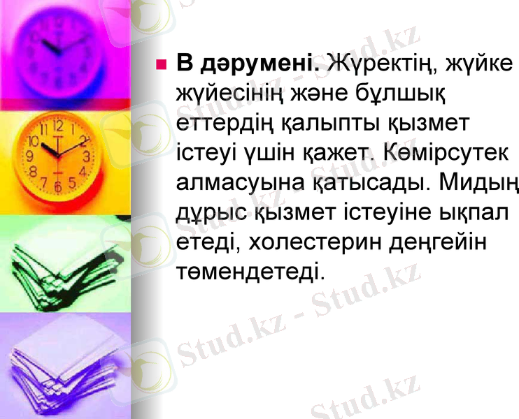 Slide 8
