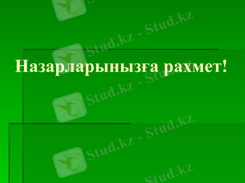 Slide 9