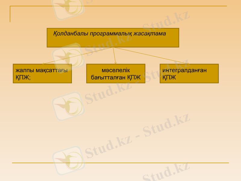 Slide 9