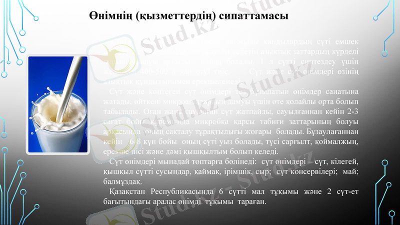 Slide 11