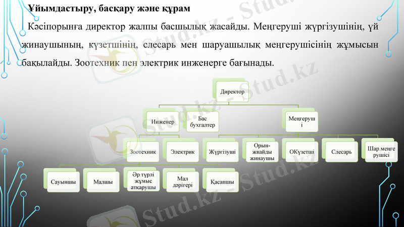 Slide 13
