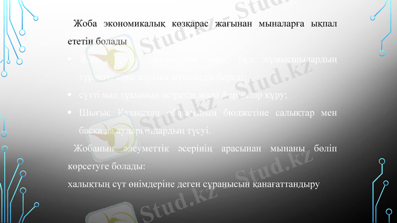 Slide 6