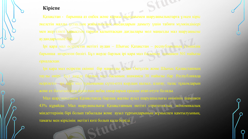 Slide 7
