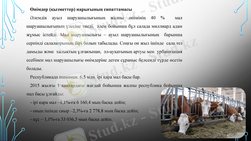Slide 9