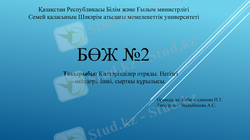 Slide 1