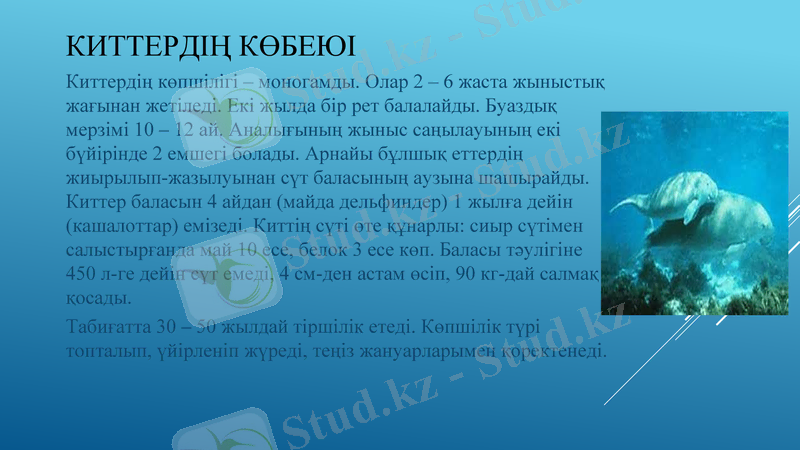Slide 6
