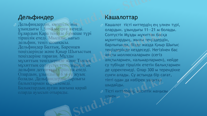 Slide 8