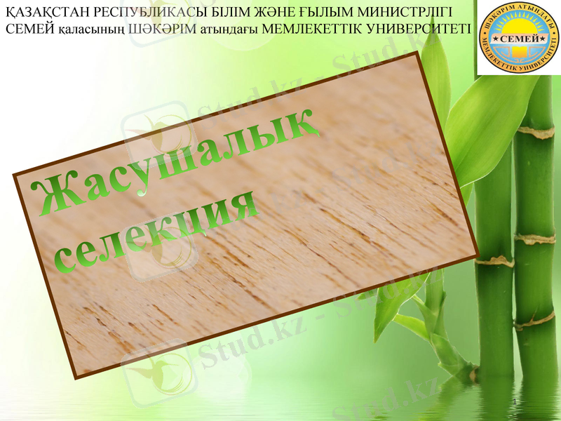 Slide 1