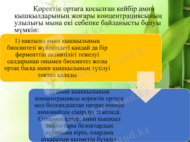 Slide 10