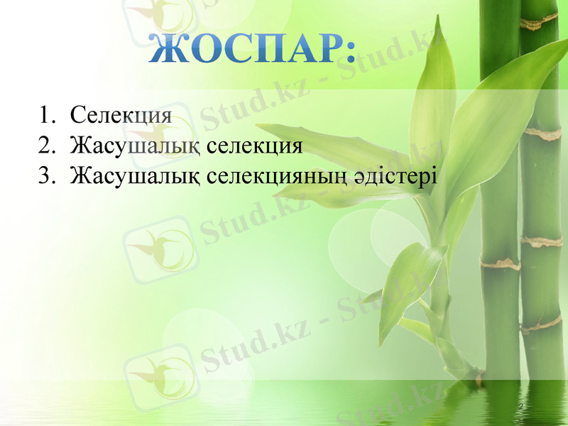 Slide 2