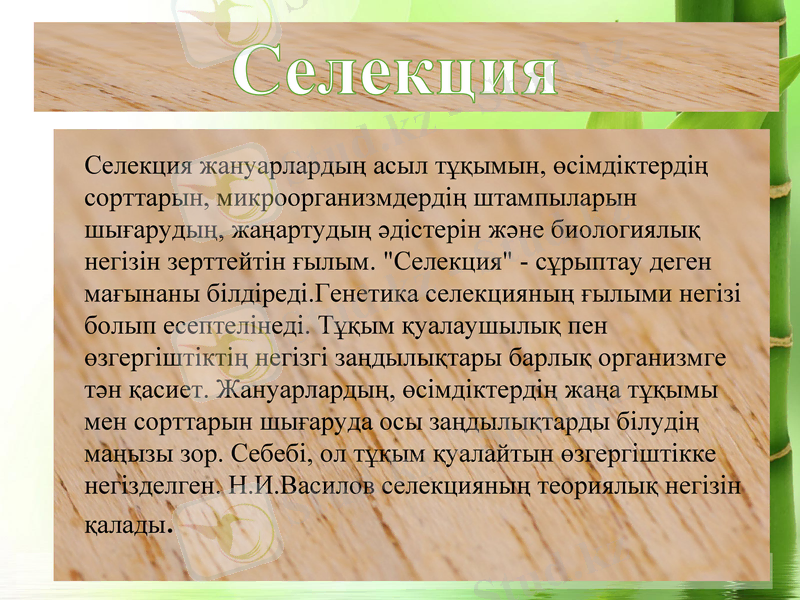 Slide 3
