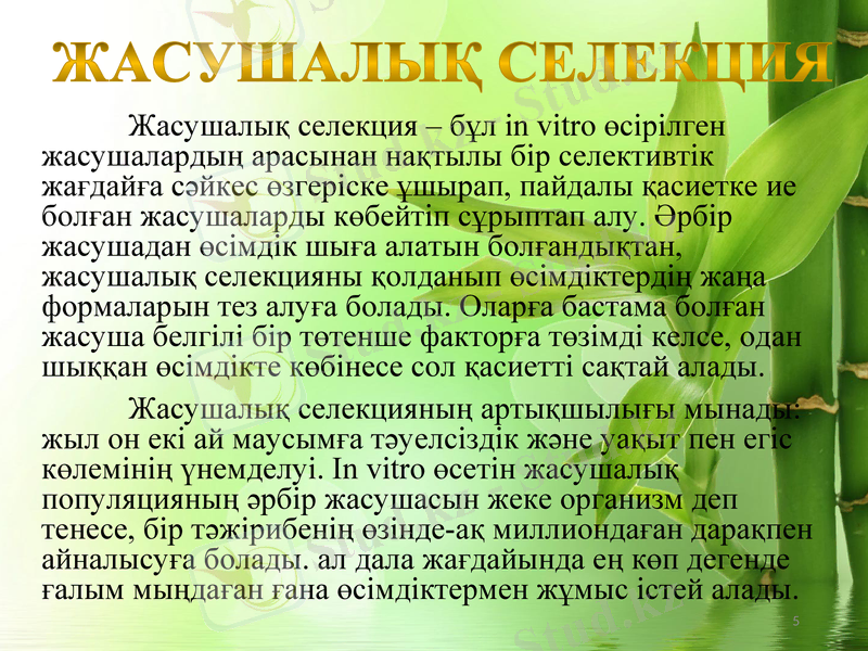 Slide 5