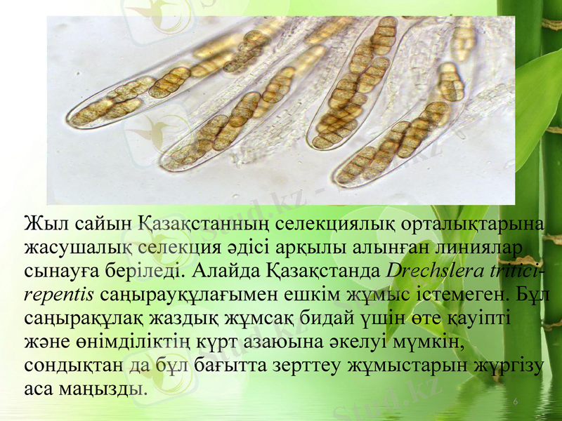 Slide 6