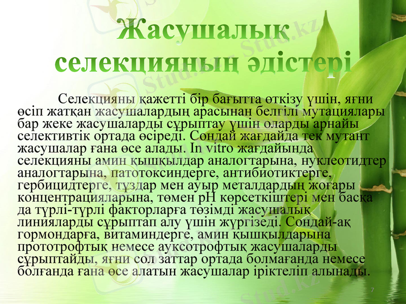 Slide 7